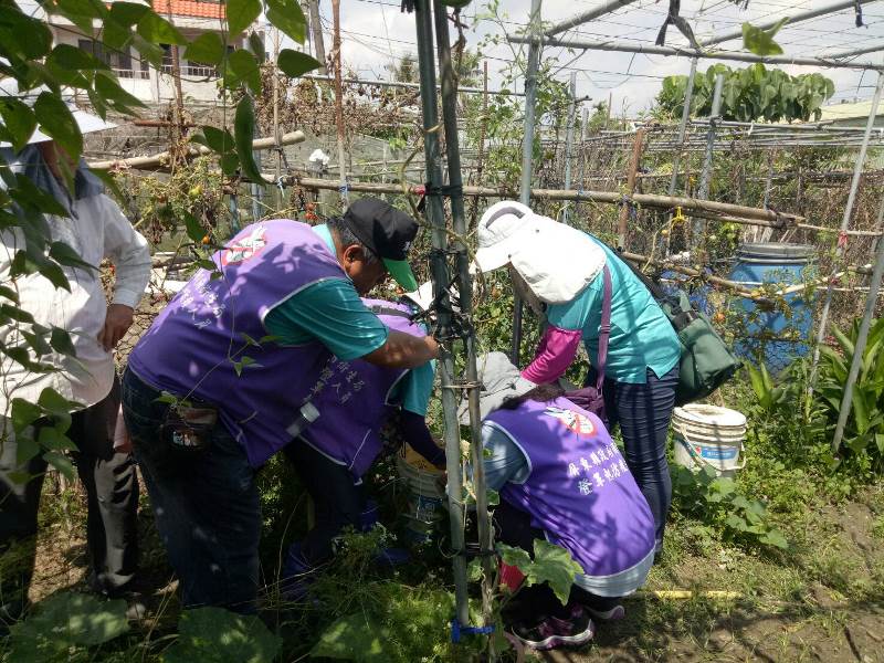 登革熱風險驟增，屏縣動員稽查菜園【圖/翻攝畫面】