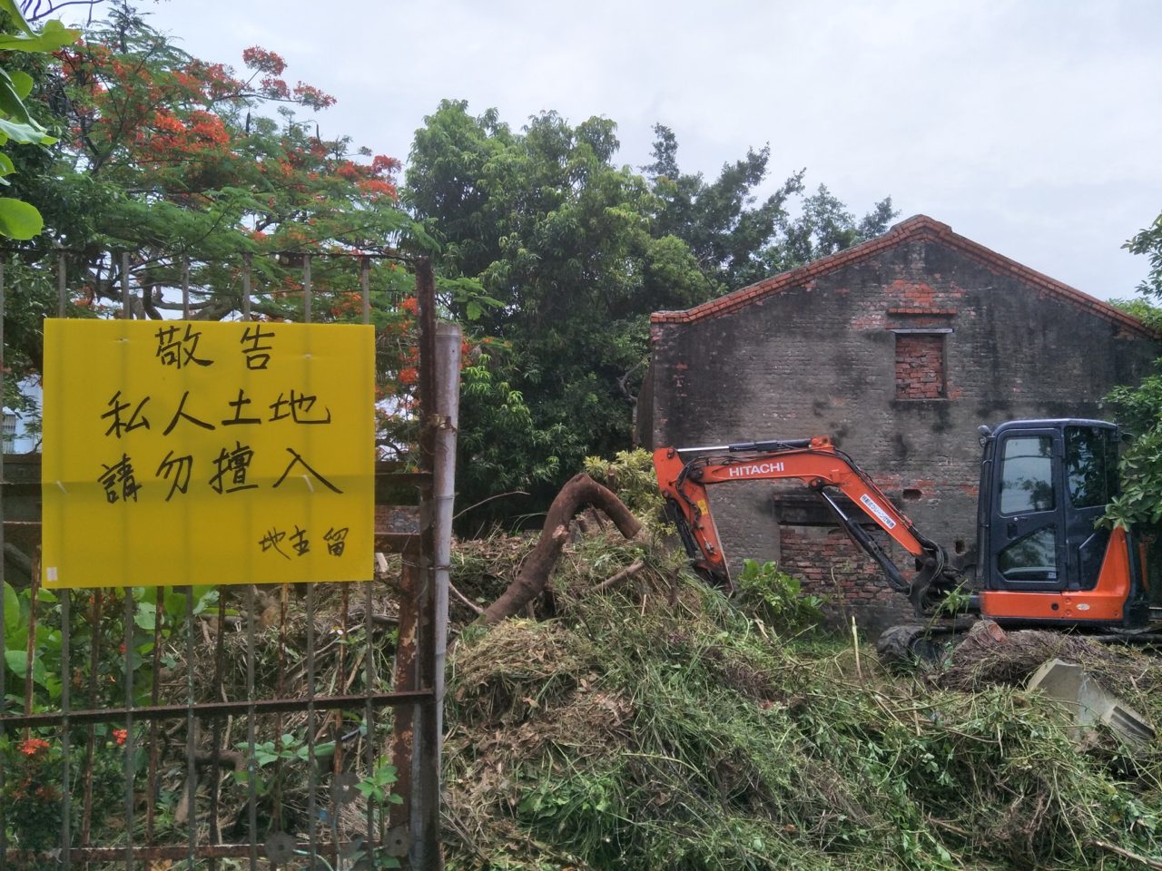 網紅打卡鳳凰花景點湖內番茄會社近日即將完工開放【圖/張淑慧攝】