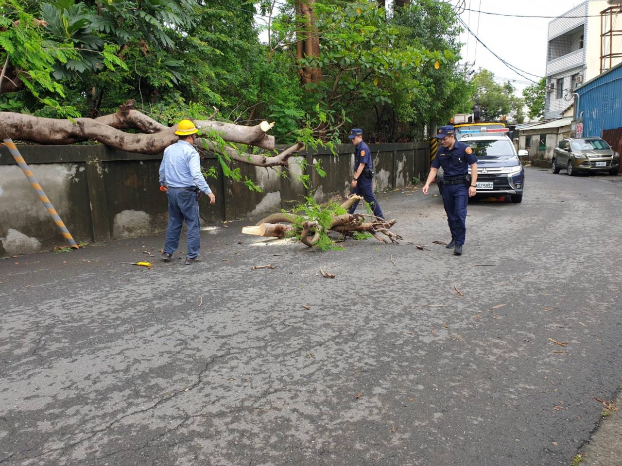 梅雨季路樹倒，鳥松警協助通報工程單位排除【圖/翻攝畫面】