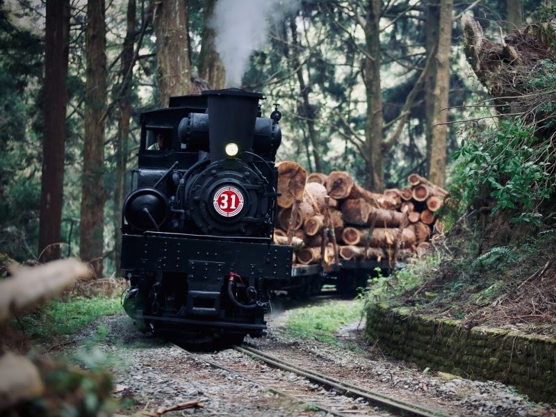 百歲蒸汽火車再出動　載運最後一批水山線疏伐木