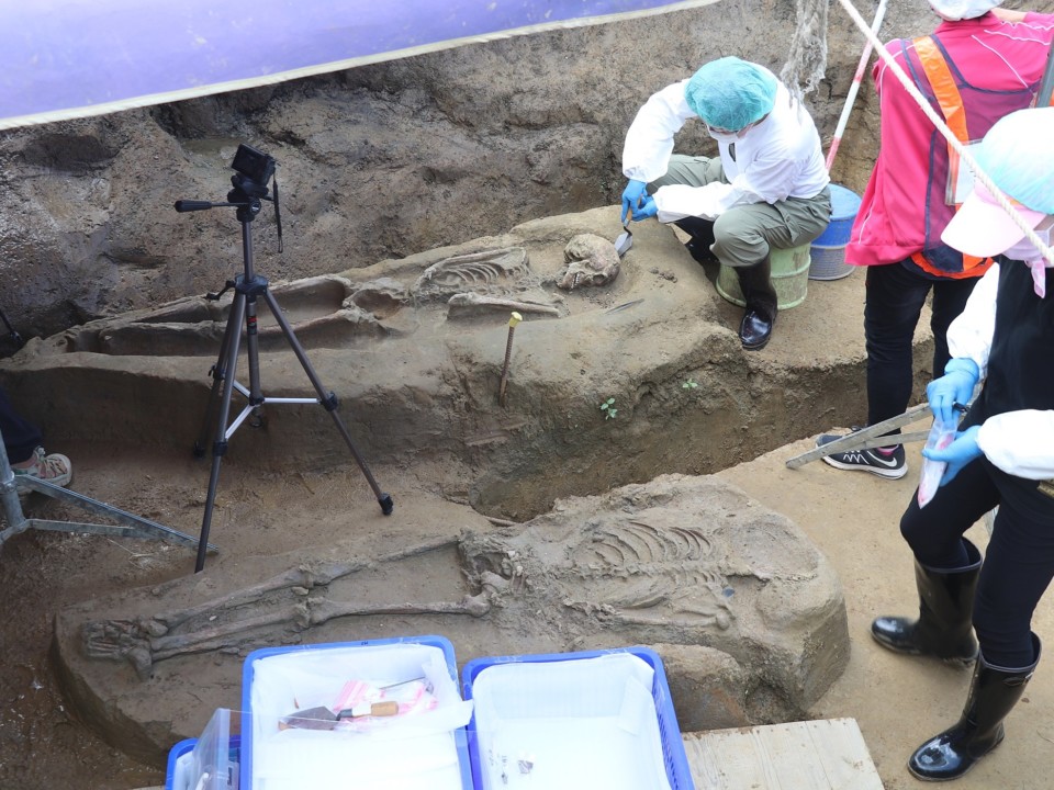 鐵路高架化工程　挖出2500年前墓葬人骨　