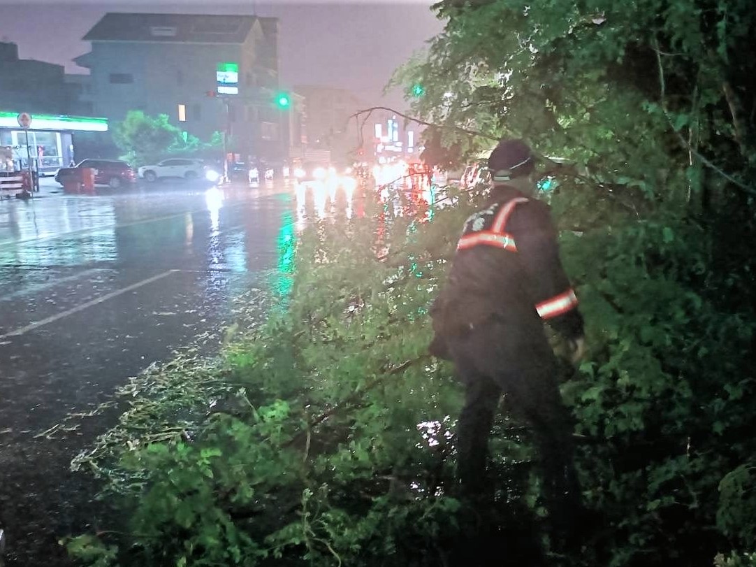 路樹倒塌阻交通　公園警不畏大雨積極排除