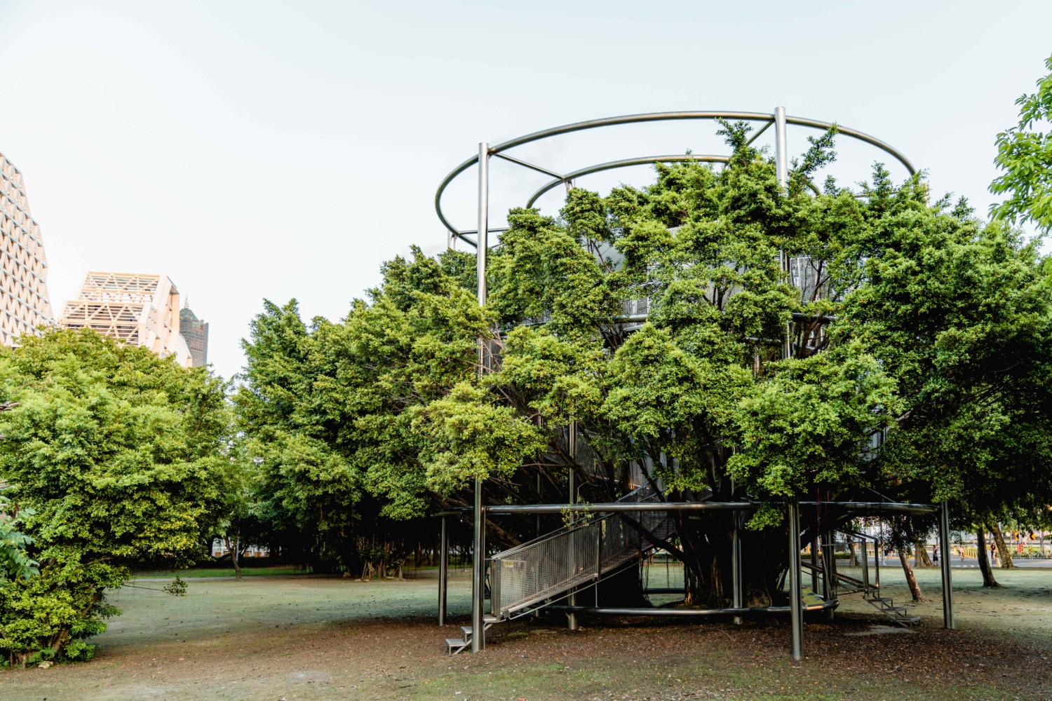 駁二大義公園「大樹宇宙」，設計360度環景作品新體驗