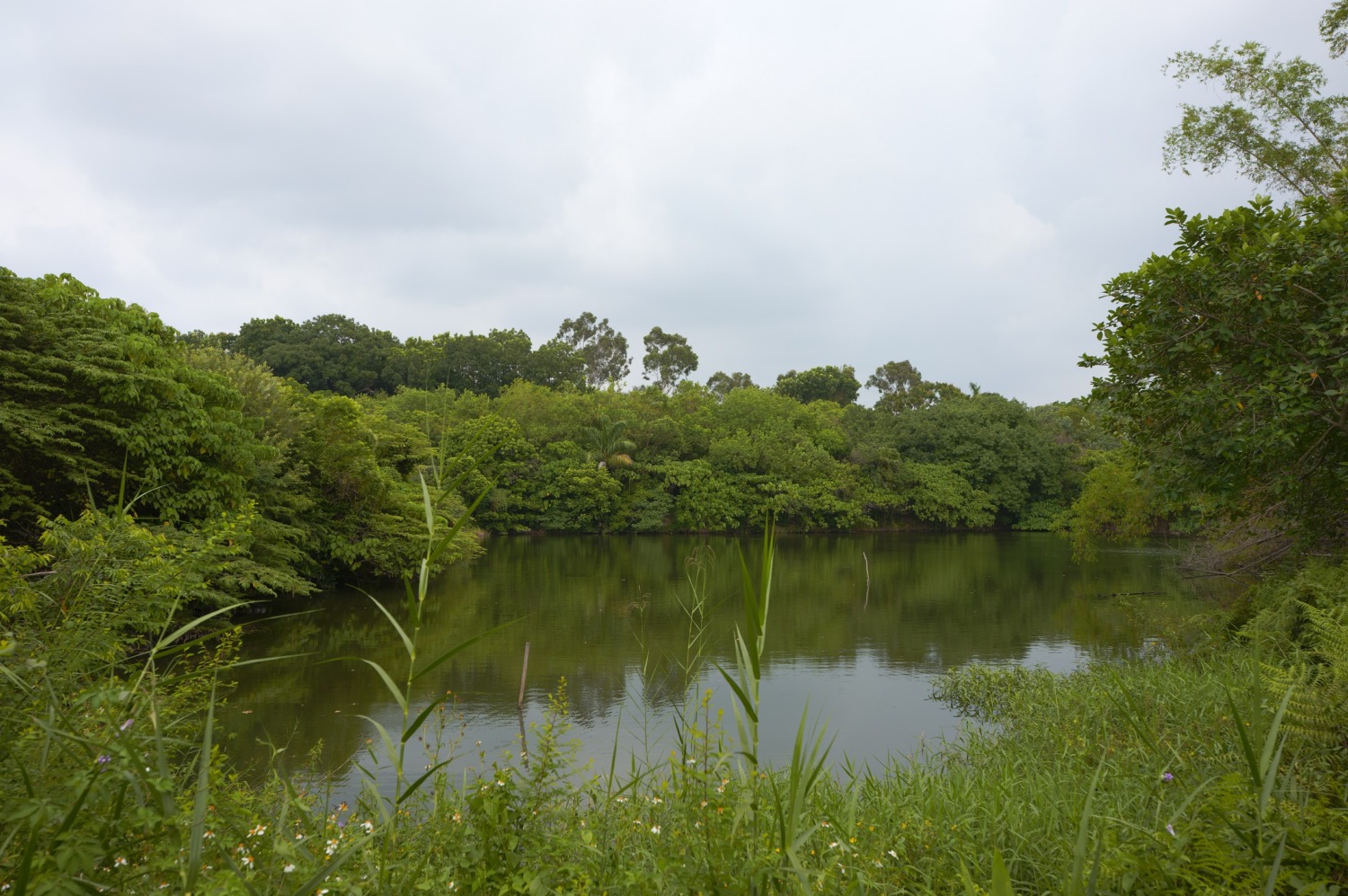 2022大高雄生態嘉年華喚醒你的環保魂 歡迎來到鳥松濕地體驗豐富生態