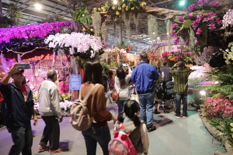 2023國際蘭展正式開園  順遊臺南賞遍世界級蘭花