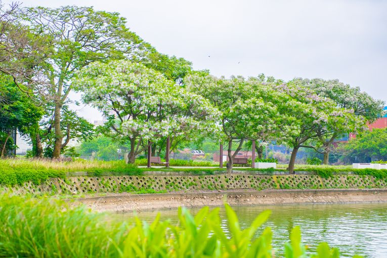 中壢區「內定綠塘水岸公園」開園啟用　擁著名「內定夕照」美景