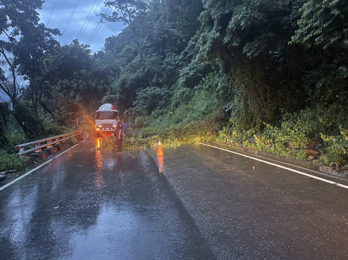 南橫台20線100K處路樹倒塌橫跨道路 六龜警交管維護用路人安全