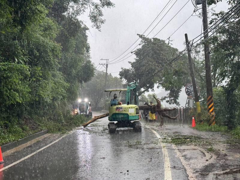有關報載六龜路樹倒塌阻礙交通狀況 已立即排除