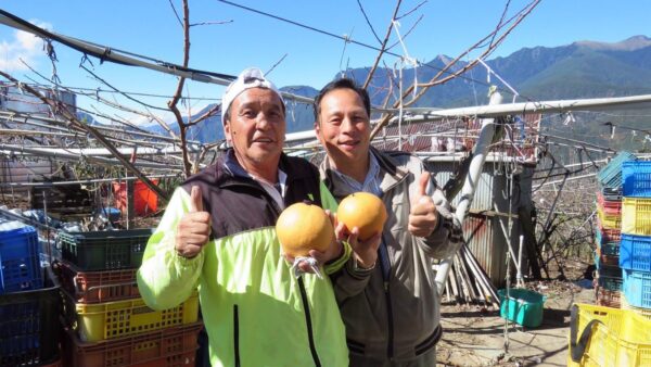 大梨山地區唯一牙醫師將退休　民代無奈：波波醫生可成為選項