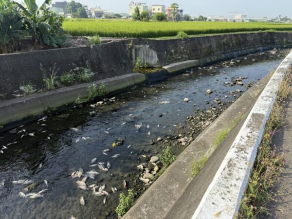 守護河川水體環境品質　中市環保局推動智慧監控