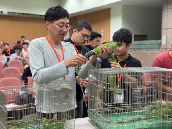 高雄綠鬣蜥獵人訓練114年再開兩梯次 第一梯次100名額於16日開放報名