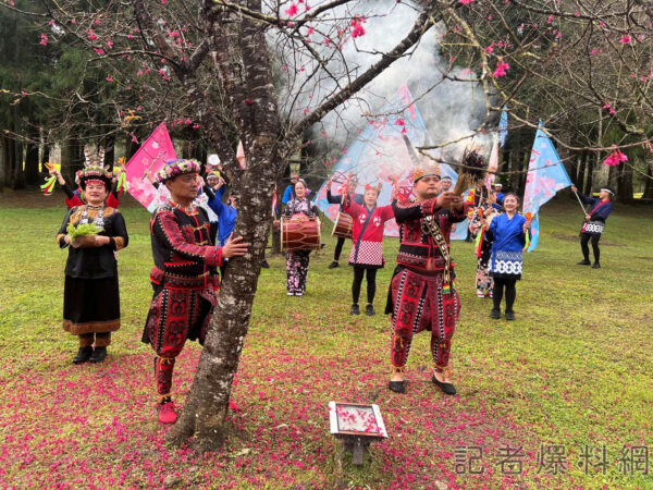 提著燈籠漫步賞夜櫻 九族櫻花祭25週年